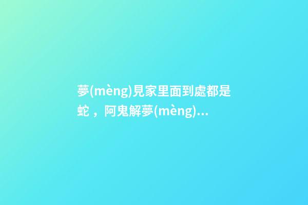 夢(mèng)見家里面到處都是蛇，阿鬼解夢(mèng)夢(mèng)到好多蛇